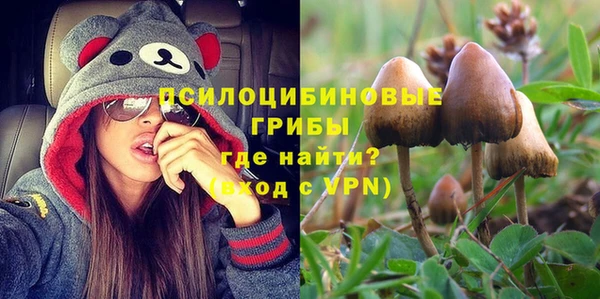 дмт Аркадак