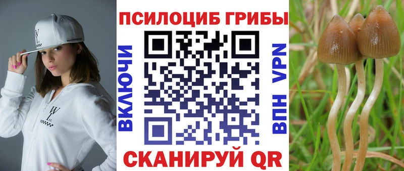 где можно купить Удомля Псилоцибиновые грибы ЛСД